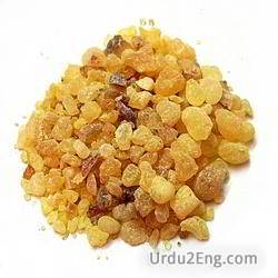 resin Urdu Meaning