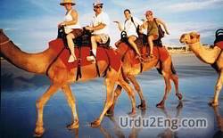 ride Urdu Meaning