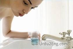 rinse Urdu Meaning