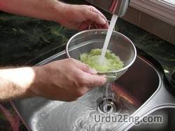 rinse Urdu Meaning