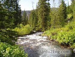 riparian Urdu Meaning
