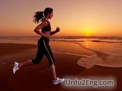 runner Urdu Meaning