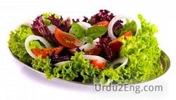 salad Urdu Meaning