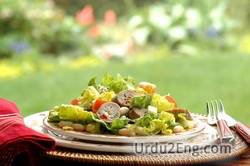 salad Urdu Meaning