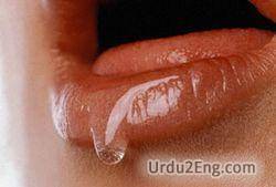 saliva Urdu Meaning