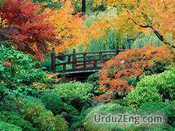 scene Urdu Meaning