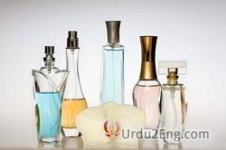 scent Urdu Meaning