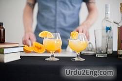 screwdriver Urdu Meaning