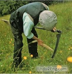 scythe Urdu Meaning