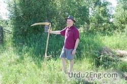 scythe Urdu Meaning