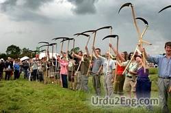 scythe Urdu Meaning