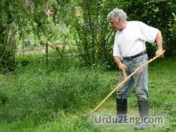 scythe Urdu Meaning