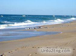 seashore Urdu Meaning