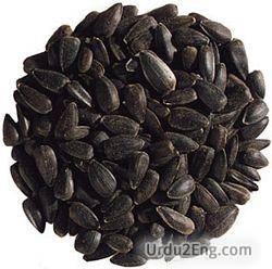 seed Urdu Meaning