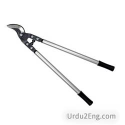 shears Urdu Meaning