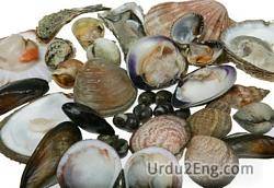 shellfish Urdu Meaning