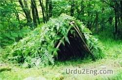 shelter Urdu Meaning