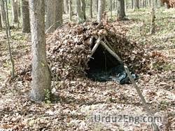 shelter Urdu Meaning