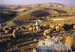 shepherd Urdu Meaning