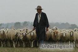 shepherd Urdu Meaning