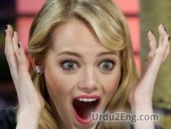 shock Urdu Meaning