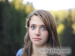 shock Urdu Meaning