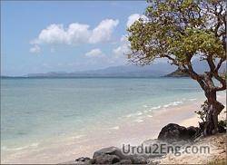 shore Urdu Meaning
