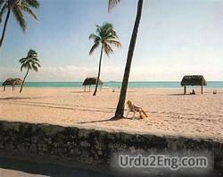 shore Urdu Meaning