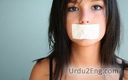 silence Urdu Meaning