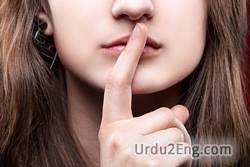 silence Urdu Meaning