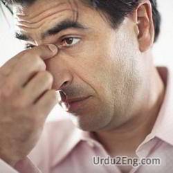 sinus Urdu Meaning