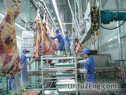 slaughterhouse Urdu Meaning