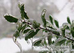 sleet Urdu Meaning