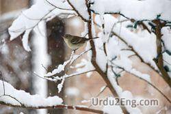 sleet Urdu Meaning