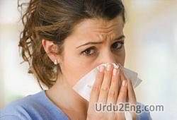sneeze Urdu Meaning