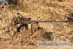 sniper Urdu Meaning