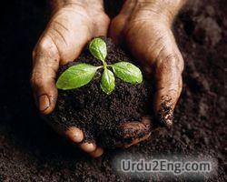 soil Urdu Meaning