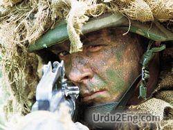 soldier Urdu Meaning