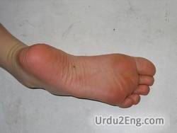 sole Urdu Meaning