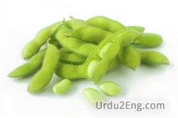 soybean Urdu Meaning