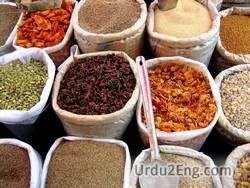 spice Urdu Meaning