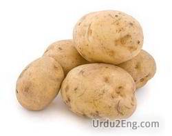 spud Urdu Meaning