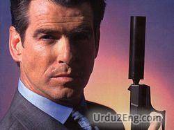 spy Urdu Meaning