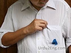 stain Urdu Meaning