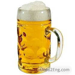 stein Urdu Meaning