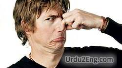 stink Urdu Meaning