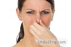 stink Urdu Meaning