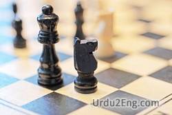 strategy Urdu Meaning