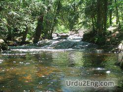 Streamflow Meaning In Urdu - اردو معنی