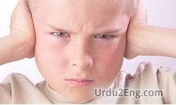 stubborn Urdu Meaning